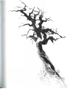 Этери Чаландзия - Архитектор снов