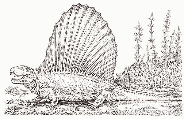 Кирилл Еськов - Удивительная палеонтология. История земли и жизни на ней