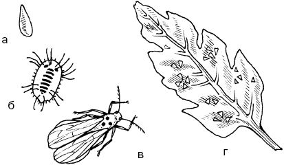 Светлана Ермакова - Календарь современного садовода. Защита сада и огорода от...