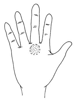 Антонина Соколова - Знаки судьбы на теле человека