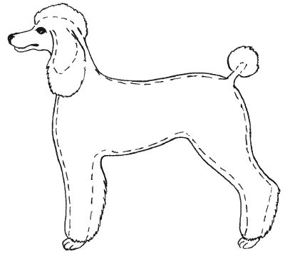 М. Колов, Е. Куприянова - Парикмахерская для собак и кошек