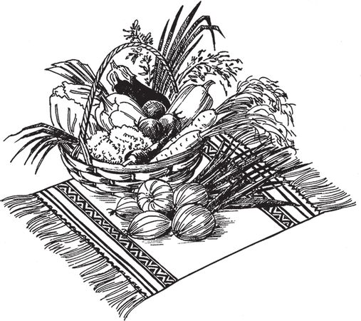 Сергей Кашин - Овощи, ягоды, фрукты. Умная рассада и бережное хранение