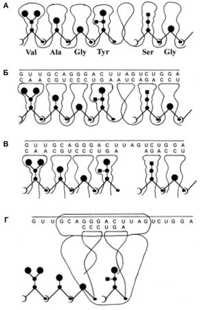 Марк Мосевицкий - Распространненость жизни и уникальность разума?
