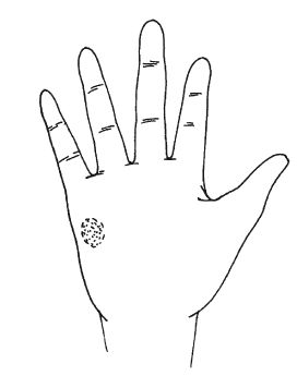 Антонина Соколова - Знаки судьбы на теле человека