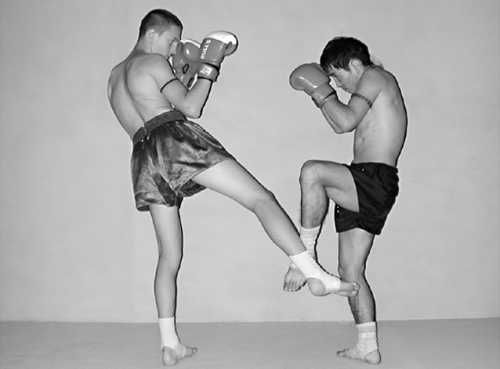 Бим Бэкман, Аман Атилов - Бойцовский клуб: боевой фитнес для мужчин