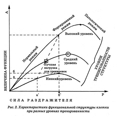 Николай Амосов - Энциклопедия Амосова. Алгоритм здоровья