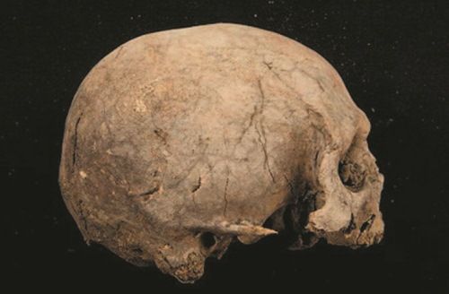 Анатолий Клёсов - Занимательная ДНК-генеалогия. Новая наука дает ответы