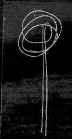 Марионилла Кольцова - Ребенок учится говорить.