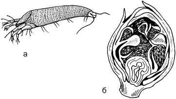 Светлана Ермакова - Календарь современного садовода. Защита сада и огорода от...
