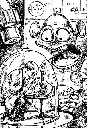 Полина Денисова - Энциклопедия катастроф