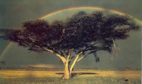 Ауст Зигфрид - Погода