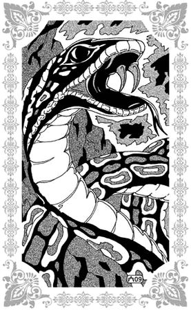 Шахразада - Избранницы Рахмана