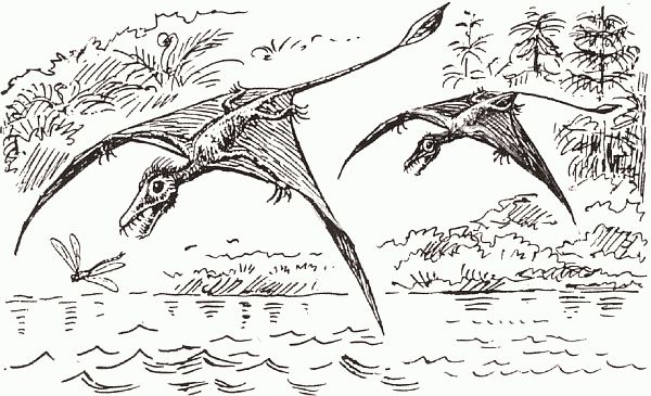 Кирилл Еськов - Удивительная палеонтология. История земли и жизни на ней