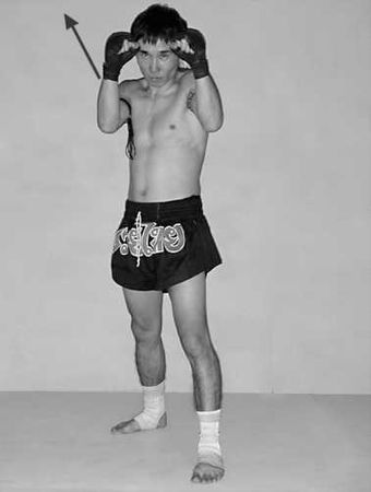 Бим Бэкман, Аман Атилов - Бойцовский клуб: боевой фитнес для мужчин