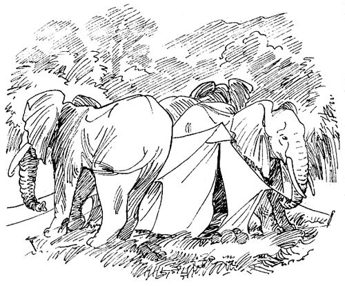 Дайан Фосси - Гориллы в тумане