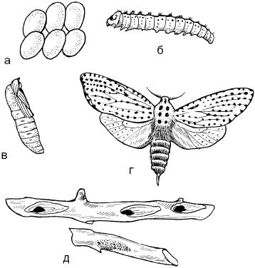 Светлана Ермакова - Календарь современного садовода. Защита сада и огорода от...