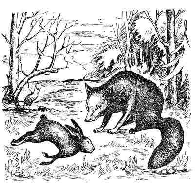 Чарлз Робертс - Лесной бродяга (рассказы и повести)