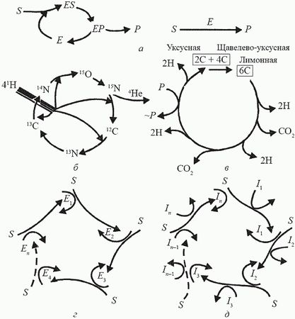 Кирилл Еськов - Удивительная палеонтология. История земли и жизни на ней