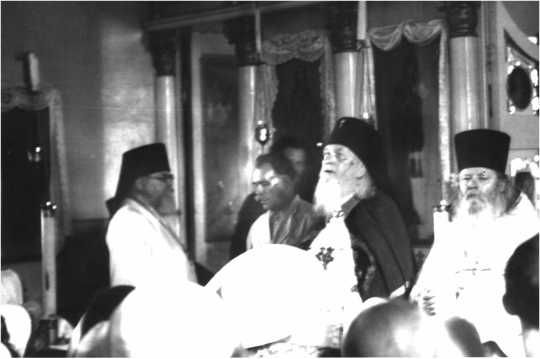 Екатерина Каликинская - Святитель Лука: факты, документы, воспоминания