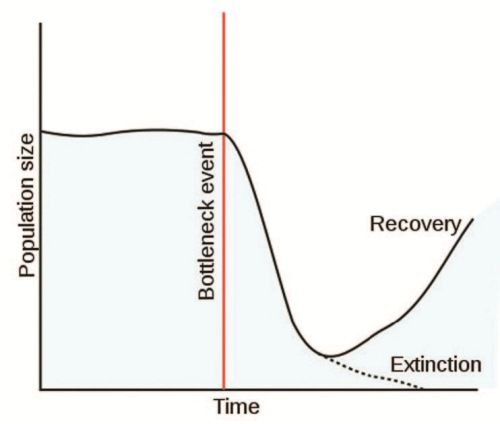 Анатолий Клёсов - Занимательная ДНК-генеалогия. Новая наука дает ответы