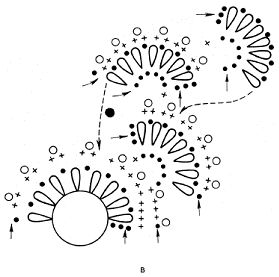 Светлана Хворостухина - Летнее вязание. Модная коллекция