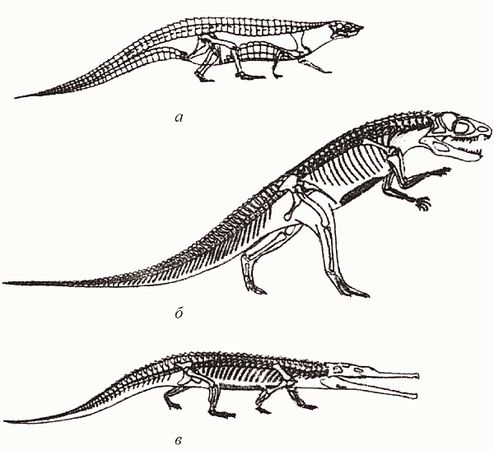 Кирилл Еськов - Удивительная палеонтология. История земли и жизни на ней