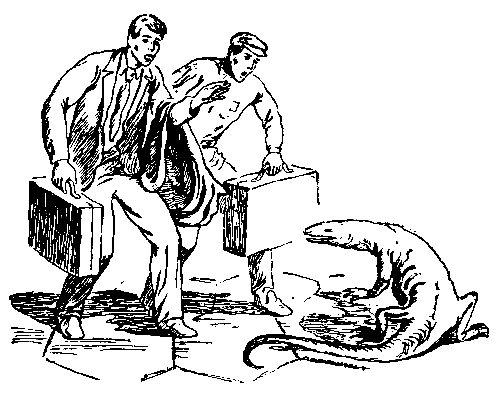 Владимир Немцов - Осколок солнца (Сборник)