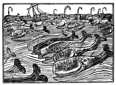 Кристиан Рейтер - Шельмуфский