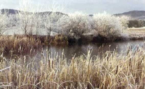 Ауст Зигфрид - Погода