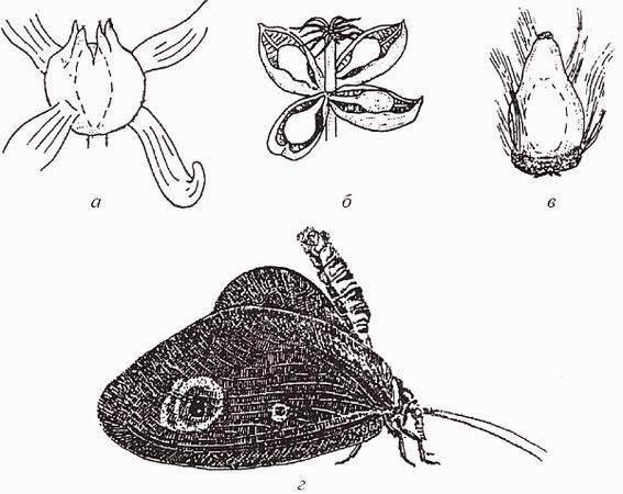 Кирилл Еськов - Удивительная палеонтология. История земли и жизни на ней