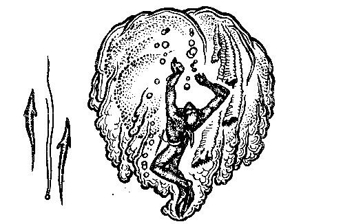 Сергей Павлов - Акванавты. Повесть