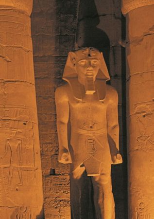 Анатолий Клёсов - Занимательная ДНК-генеалогия. Новая наука дает ответы