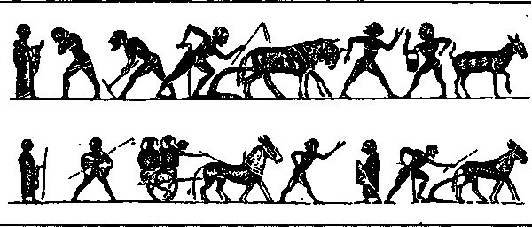 Лидия Винничук - Люди, нравы и обычаи Древней Греции и Рима