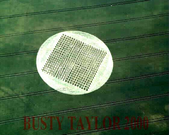 Виктор Рогожкин - Эниология