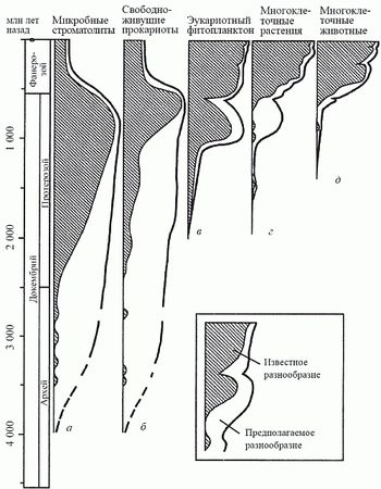Кирилл Еськов - Удивительная палеонтология. История земли и жизни на ней