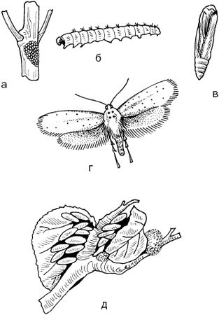 Светлана Ермакова - Календарь современного садовода. Защита сада и огорода от...