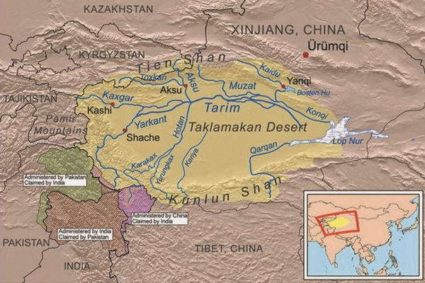 Анатолий Клёсов - Занимательная ДНК-генеалогия. Новая наука дает ответы