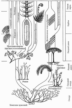 Кирилл Еськов - Удивительная палеонтология. История земли и жизни на ней