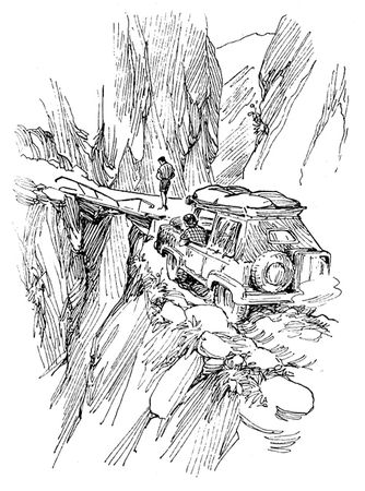 Дайан Фосси - Гориллы в тумане