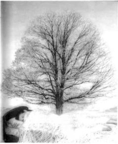 Этери Чаландзия - Архитектор снов