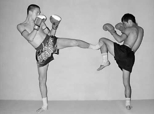 Бим Бэкман, Аман Атилов - Бойцовский клуб: боевой фитнес для мужчин