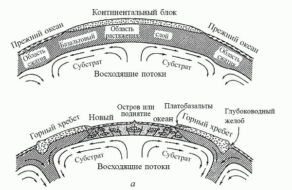 Кирилл Еськов - Удивительная палеонтология. История земли и жизни на ней