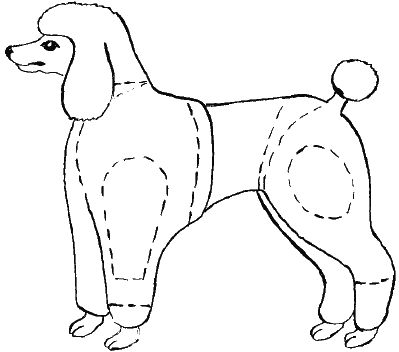 М. Колов, Е. Куприянова - Парикмахерская для собак и кошек