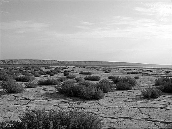 Анатолий Бернацкий - 100 великих тайн океана