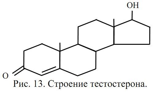 Алла Масловская - Биохимия гормонов