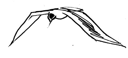 Вилис Лацис, Жан Грива и др. - Ладейная кукла