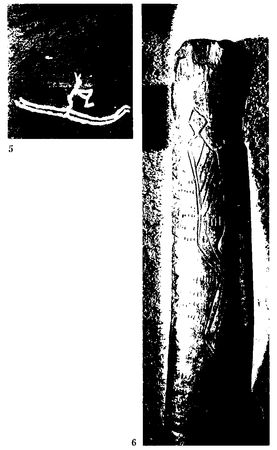 Хильда Дэвидсон - Древние скандинавы. Сыны северных богов