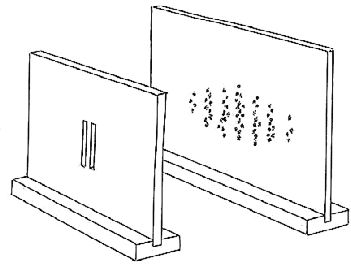 Боб Берман, Роберт Ланца - Биоцентризм. Как жизнь создает Вселенную