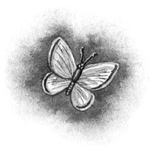 Владимир Одоевский - Городок в табакерке (сборник)