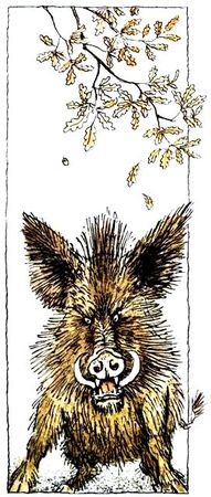 Лев Успенский, Всеволод Успенский - Двенадцать подвигов Геракла